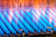 Effirth gas fired boilers